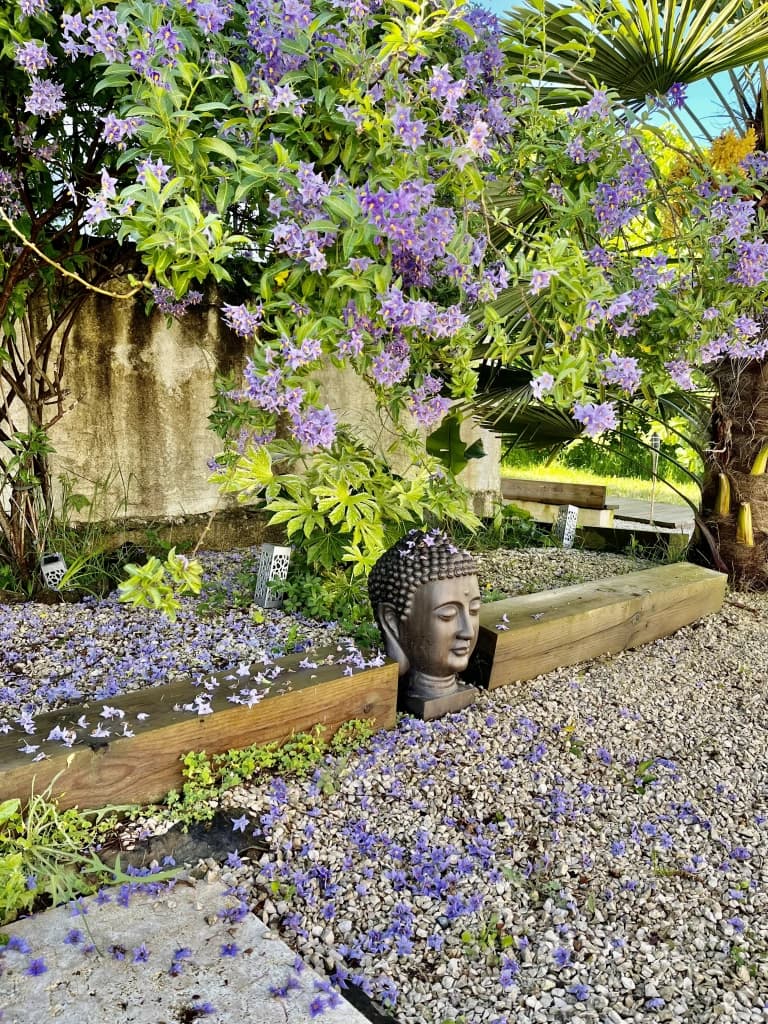 Jardin
